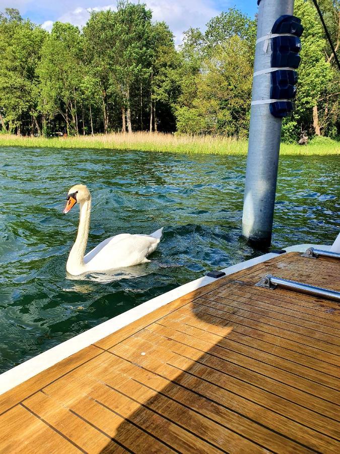 Luxusurlaub Auf Der Amavida Yacht / Scharmuetzelsee Bad Saarow Exterior foto